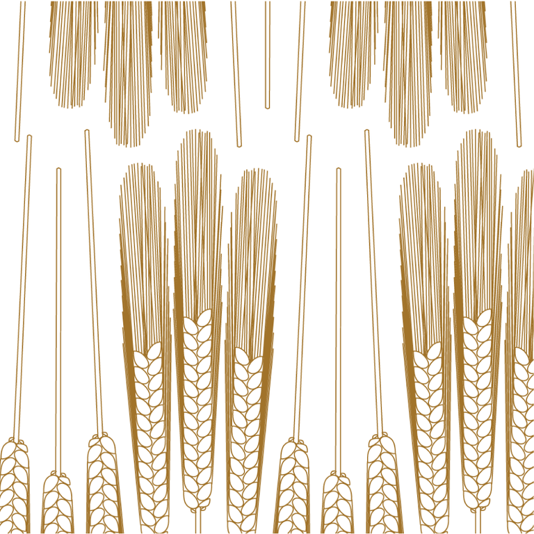 Wheat Stalks - Golden