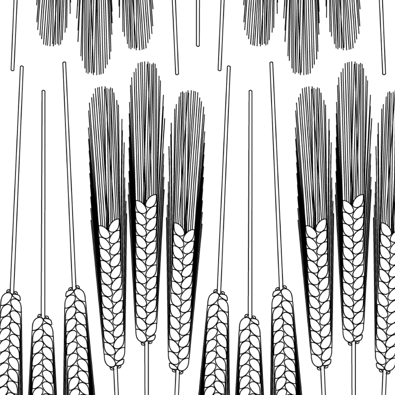 Wheat Stalks - Black & White